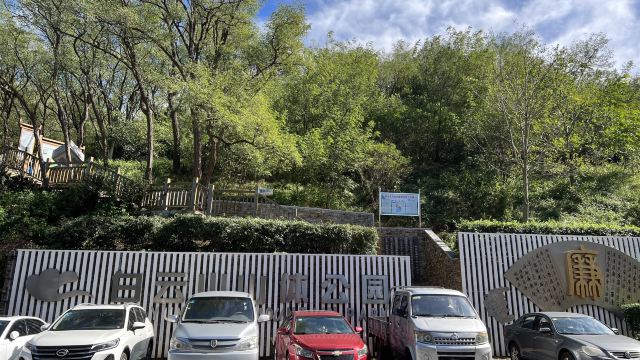 白云山山体公园旅行图片 8
