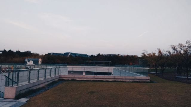 虹桥体育公园旅行图片 2