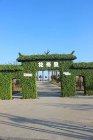 衡东游记图片] 福利预告 | 新春佳节去哪玩？首选衡东花奇里！景美、好玩、离家近~