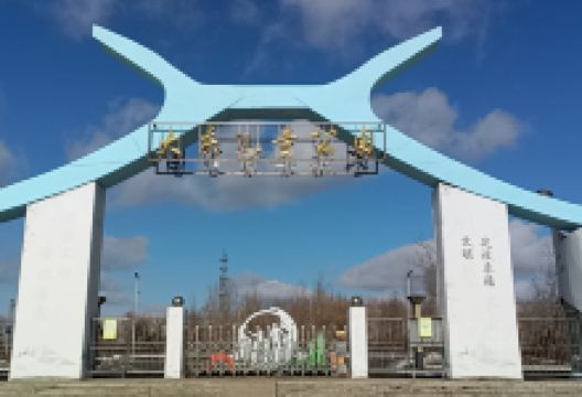 大庆市儿童公园景点图片