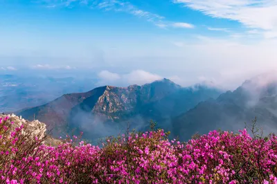 大黑山景区