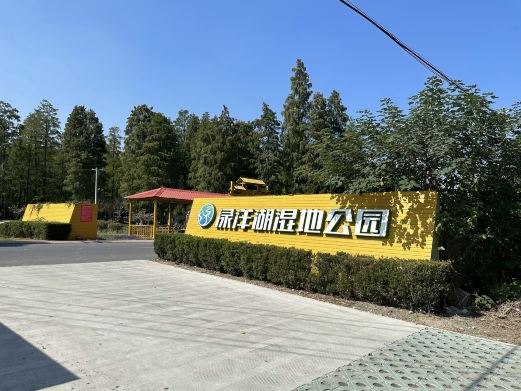 水上森林