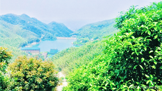 大义山