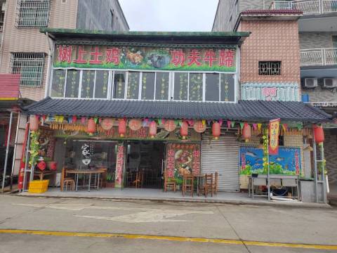 树上土鸡餐厅图片