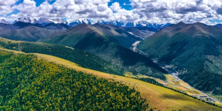 澤桑拉空中花園