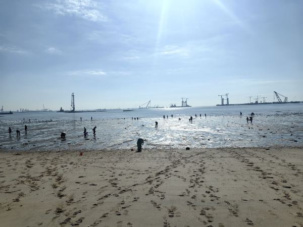 厦金湾赶海场