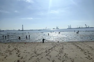 厦金湾赶海场