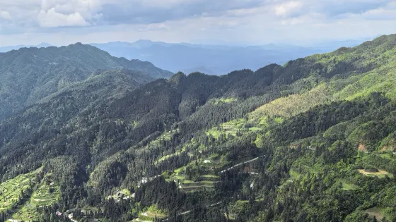 鹿背山