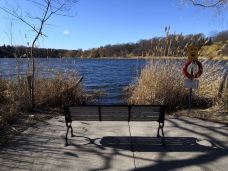 海柏公园-多伦多-BetTerDAY