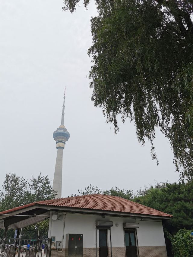 北京玉渊潭公园攻略,北京玉渊潭公园门票/游玩攻略/地址/图片/门票