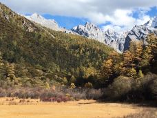 稻城亚丁-冲古草甸-稻城-周游世界I