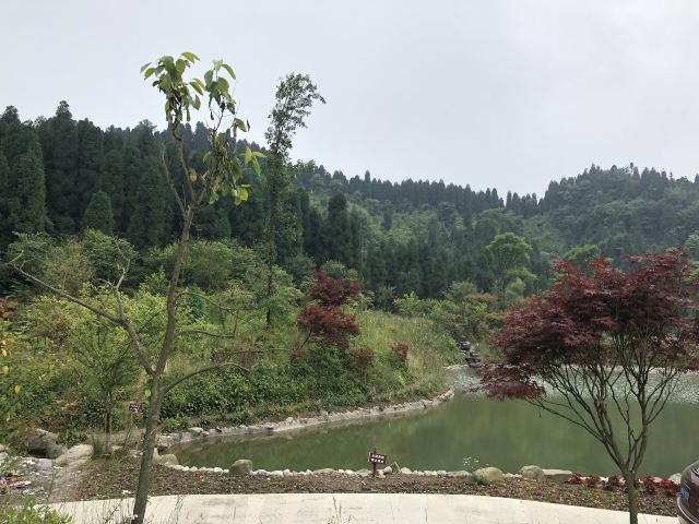 川西红枫岭旅行图片 5