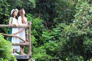 立冬时节，我们在温暖的春天呼吸