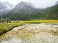 稻城亚丁-冲古草甸-稻城-enjoyzent