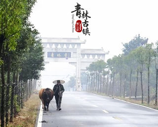 青林休闲旅游区 ▏『清江帆影,黛瓦白墙』中国谜语村·特色康养小镇