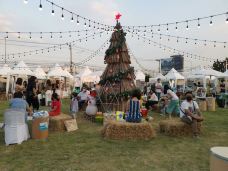 上海中医药博物馆-上海-Lavender and Sun