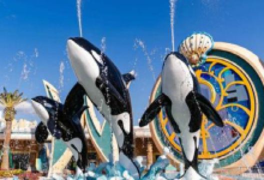 嵊泗本岛/黄龙岛旅游图片-1日-上海