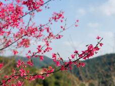 世间香境·七溪地-广州-136****2038