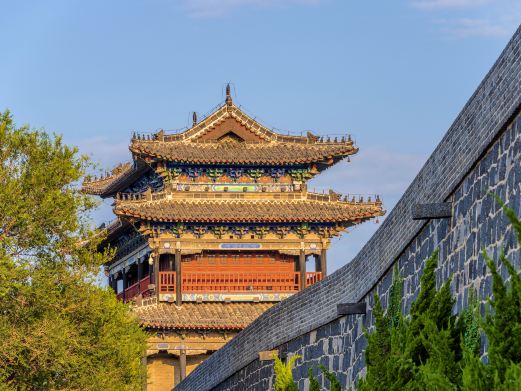 振扬门