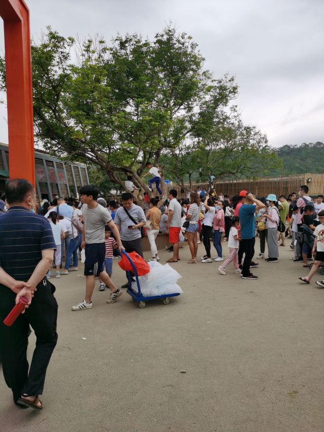 东莞耕山小寨旅行图片 1