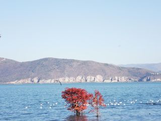 有趣的灵魂相互吸引，清风拂来大理见