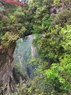 五凤山森林公园-简阳-滇国剑客