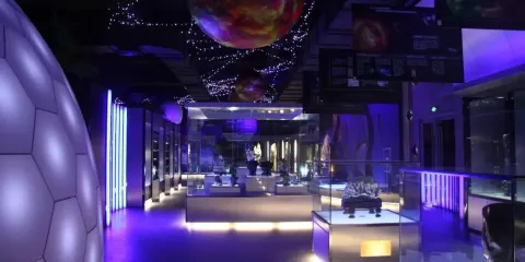 青島濱海學院世界動物自然生態博物館