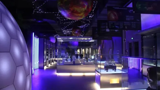 青島濱海學院世界動物自然生態博物館