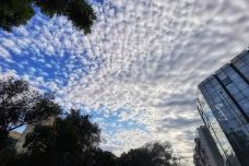 天主教北京教区西直门教堂-北京-hammery