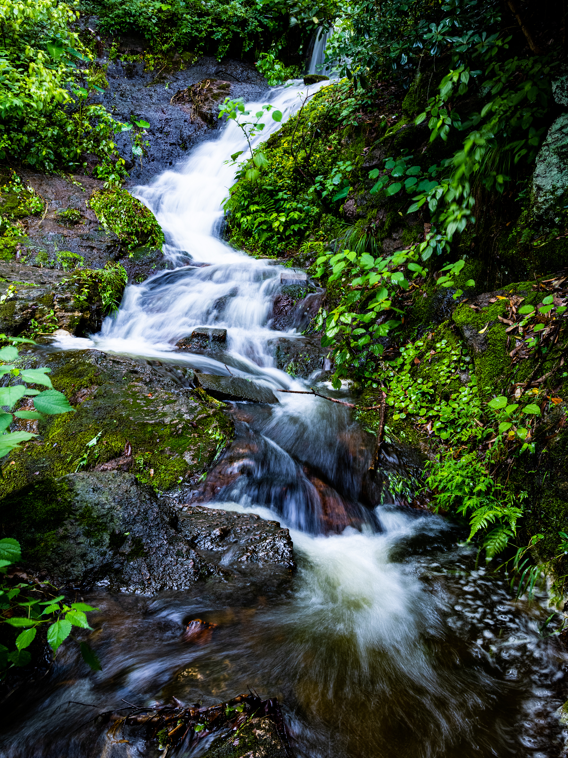 4-Day Lishui Tour: Xiandu's ancient charm and Nanming's tranquility, Qian Xia Lake's ecology and mining history