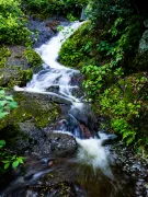4-Day Lishui Tour: Xiandu's ancient charm and Nanming's tranquility, Qian Xia Lake's ecology and mining history