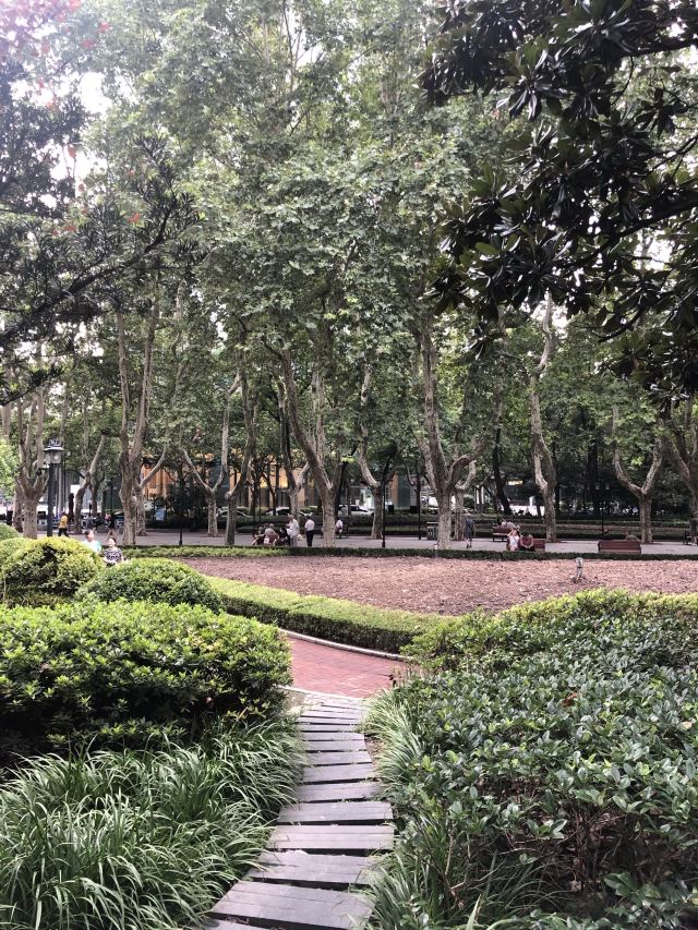 襄阳公园旅行图片 2
