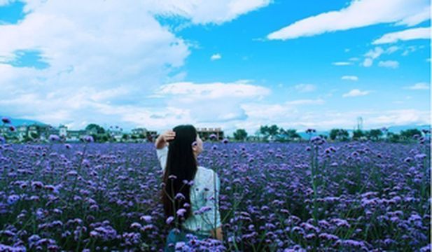 彩云之南——走走停停,时间给了不一样的风景