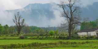 一江烟雨三州春  （三）  桃花潭    218皖南风景道    宏村