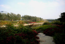 细河悠谷公园-沈阳-C-IMAGE