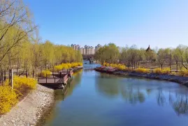 2-Day Hengshui Tour: Hengshui Lake's Wetland Scenery, Wuqiang Nianhua Art
