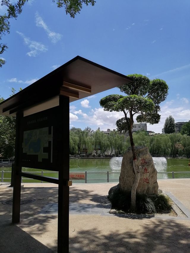 莲湖公园旅行图片 6
