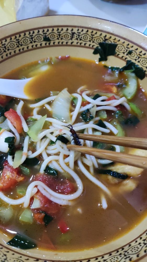 菜场面馆(新登综合市场店)