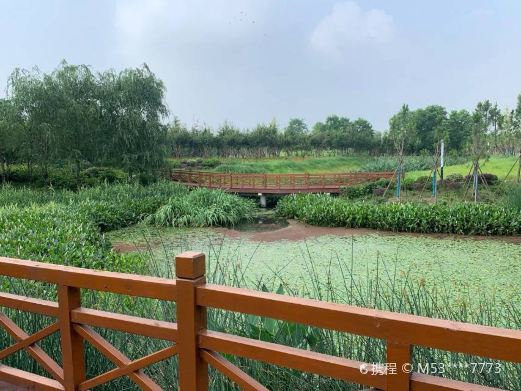 玉湖湿地公园