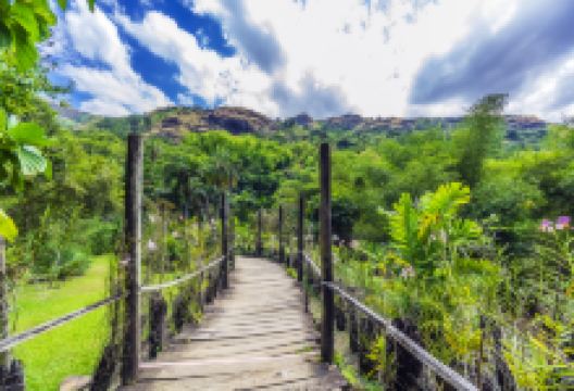 沉睡巨人花园景点图片