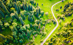 伊犁游记图片] 不随大流，后疫情时期推荐那拉提新玩法