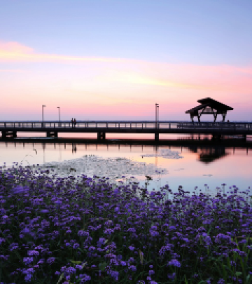 工业园区金鸡湖西/苏州中心游记图文-园区即景区？苏州工业园区两天一夜，和闺蜜一起悠享惬意度假时光