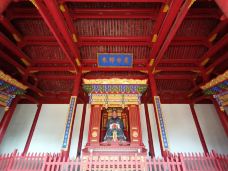 蒙城文庙-蒙城-大松树叶子