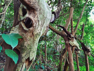 我国边境上的神秘龙摩爷圣地,三千白骨悬挂山间,被认为是人的灵魂归宿