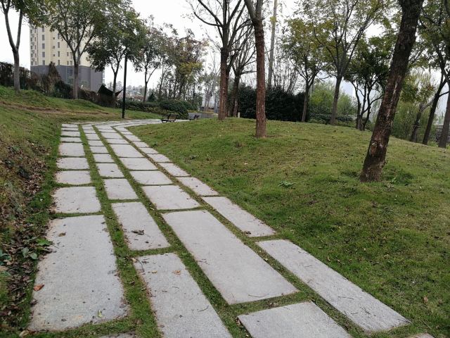 北洋桥旅行图片 3
