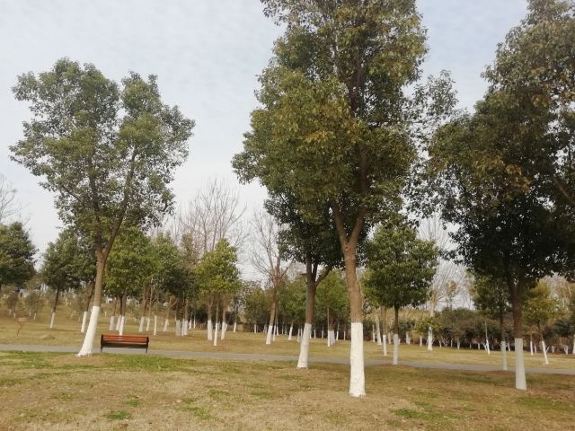 府河郊野公园旅行图片 6