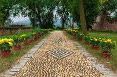 墨潭桃花岛-吉水-YoYo_9M6N6Z2I