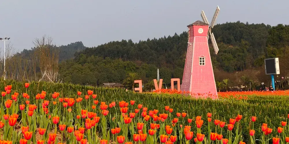 永安旅遊