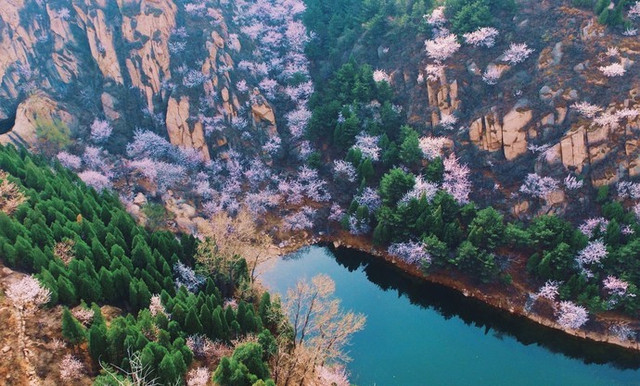 连续好天气，找机会去天津蓟县九龙山连友大院农家院，吃顿大餐！