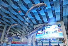 合肥海洋世界景点图片